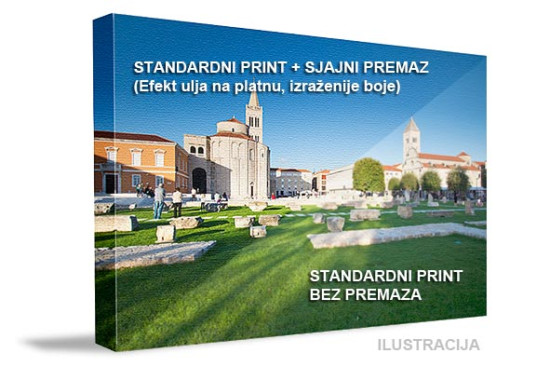Slika na platnu 100x50 cm