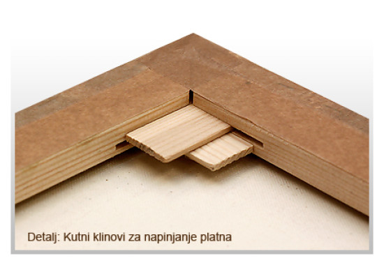 Slika na platnu 50 x 50 cm